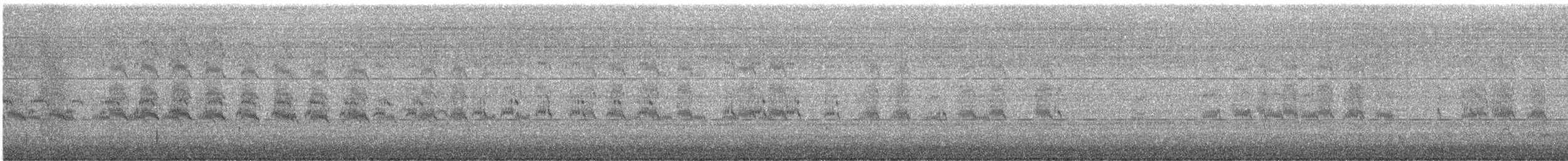 Forster's Tern - ML627043640