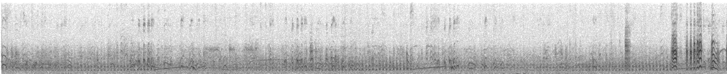Leach's Storm-Petrel - ML627043937
