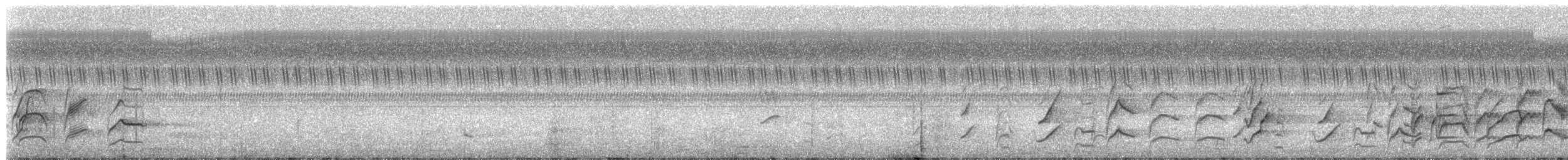 Plum-headed Parakeet - ML627046153