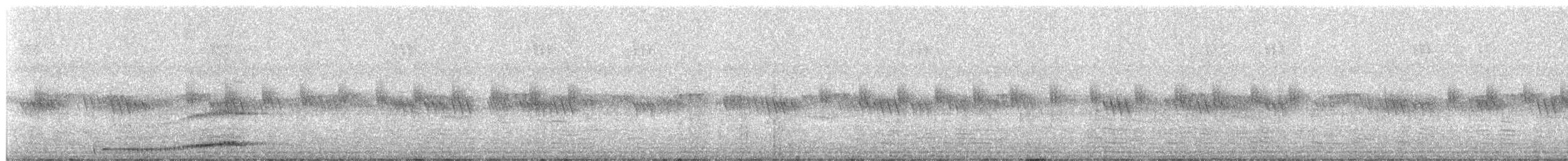 Jungle Owlet - ML627052123