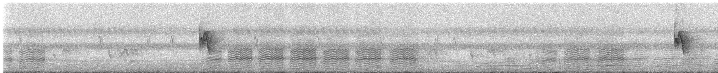 Large Gray Babbler - ML627052492