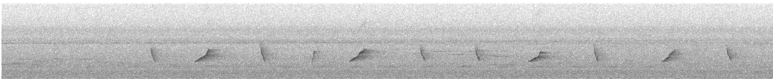 ズグロムジチメドリ（rufiventris／harterti） - ML627057601