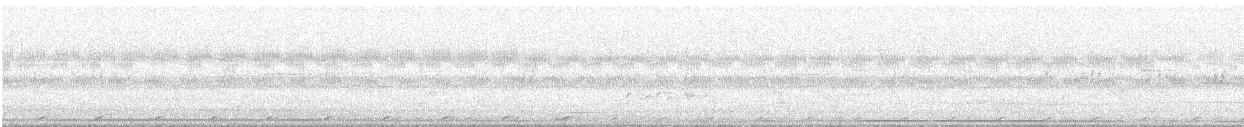 Little Cuckoo-Dove - ML627060142