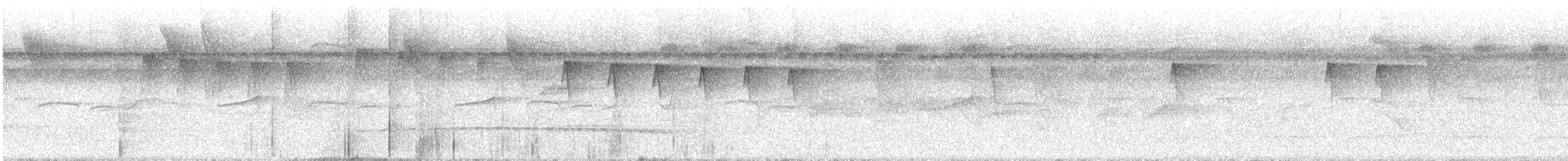 Batarito Coronipunteado - ML627070912