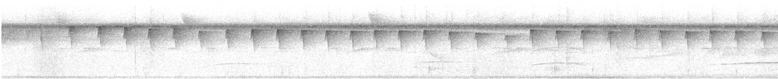 Checker-throated Stipplethroat - ML627071118