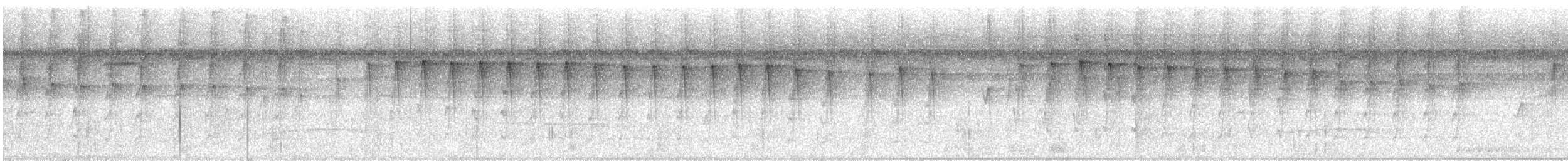 Checker-throated Stipplethroat - ML627071323