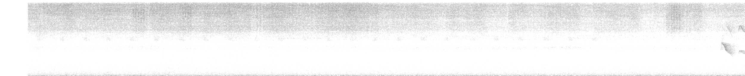 Plumbeous Kite - ML627072824