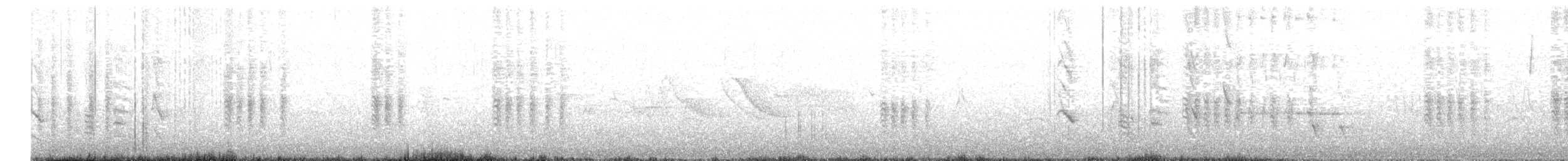 Austral Blackbird - ML627076487