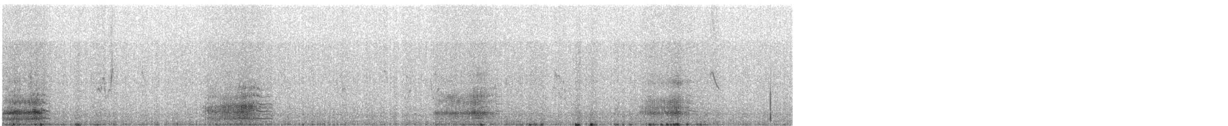 Garceta Nívea - ML627078713