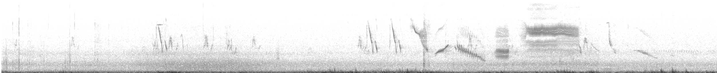 Long-tailed Meadowlark - ML627080020