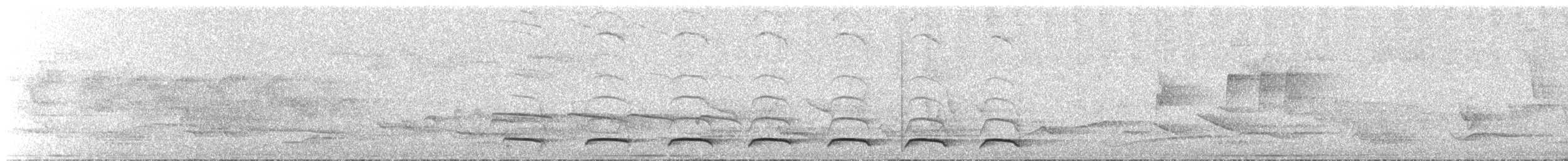 Atlantic Black-throated Trogon - ML627093317