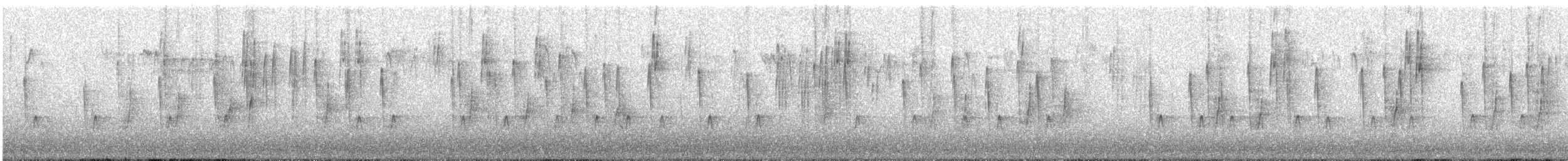 茶腹鳾(sinensis/formosana) - ML627093809