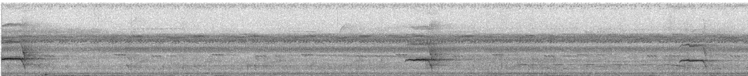 Lettered Aracari - ML627094422