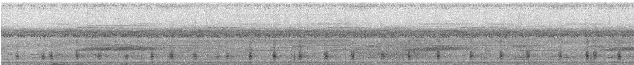 Lettered Aracari - ML627094424