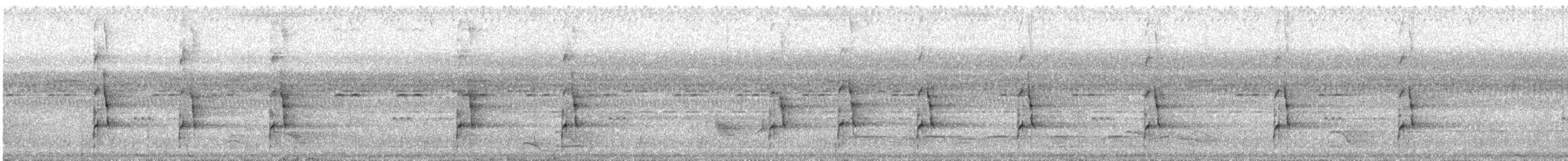 Bindenarassari - ML627094426