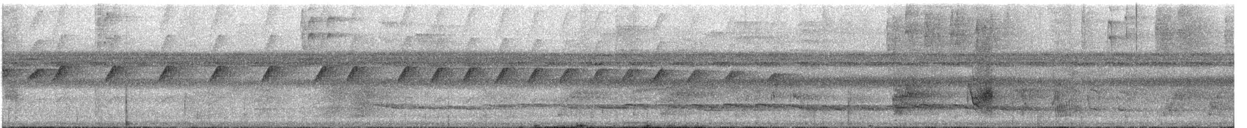 White-fronted Nunbird - ML627094466