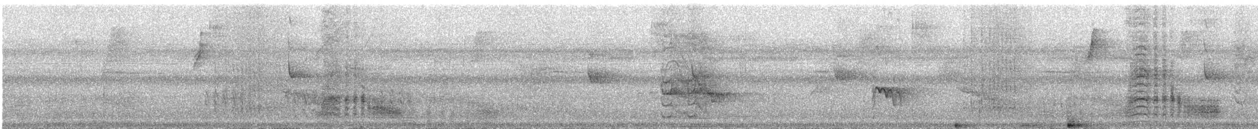 svartbukgjøk - ML627095132