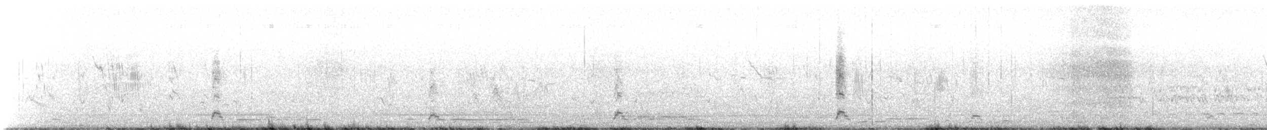 Cigno collonero - ML627095642