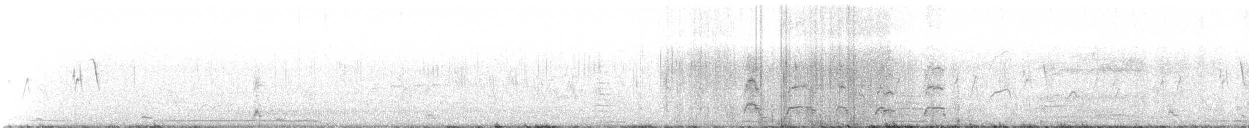 Cigno collonero - ML627095643