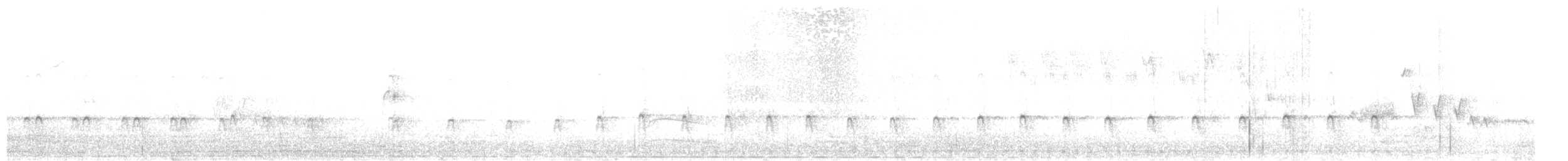 シンジュトビ - ML627099283