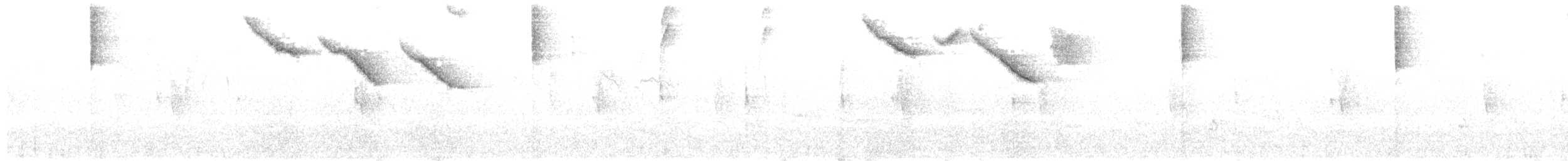 Half-collared Sparrow - ML627100680
