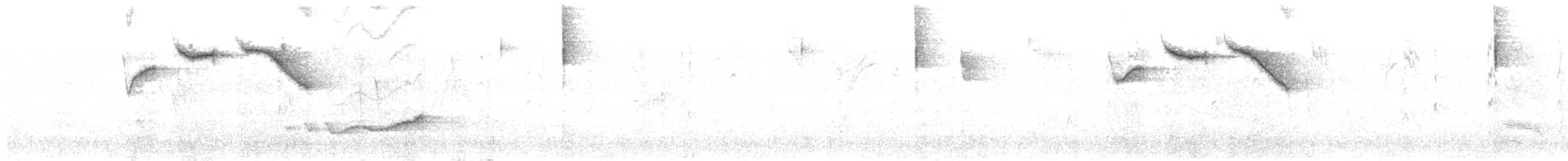 Half-collared Sparrow - ML627100681