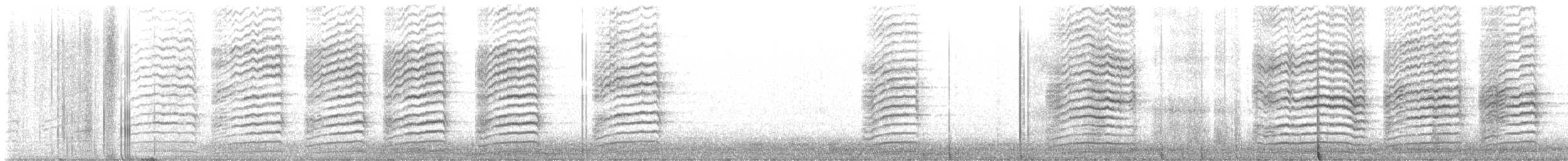 Pie-grièche boréale - ML627102944