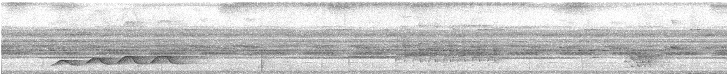 Lawrence's Thrush - ML627110738