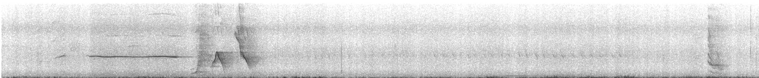 lyrochvost nádherný - ML627113089