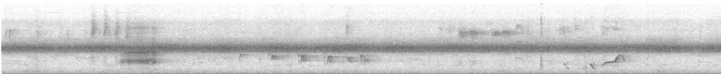 kakadu přílbový - ML627113322