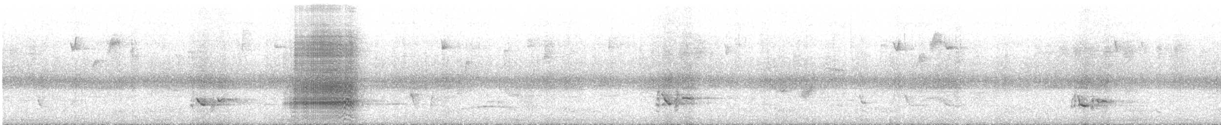 kakadu přílbový - ML627113327