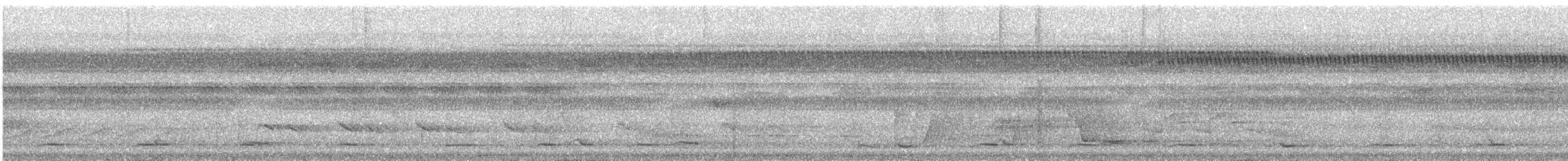 Lawrence's Thrush - ML627119699