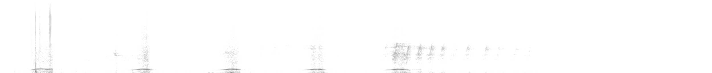 Phasianelle onchall - ML627123951