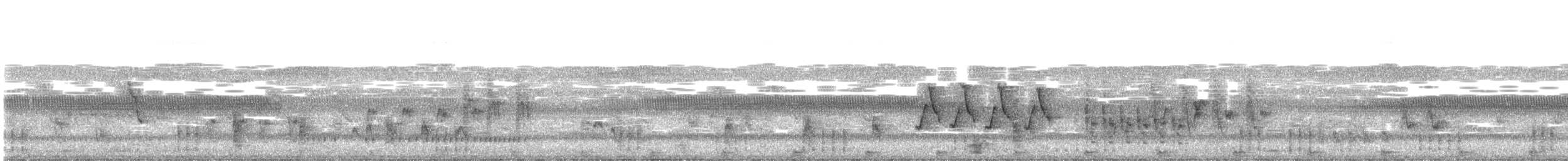 Blongios d'Australie - ML627125200