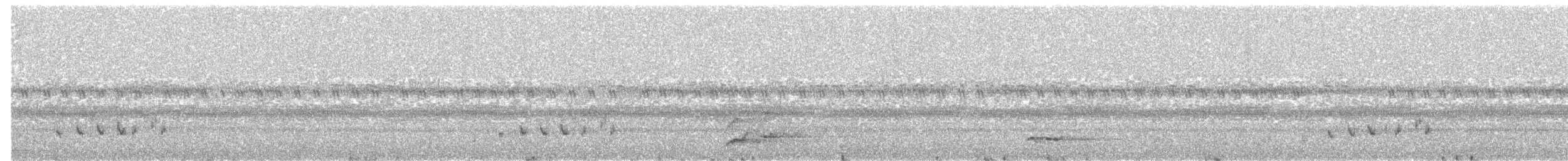 Buff-collared Nightjar - ML62712581