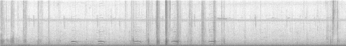 Collared Forest-Falcon - ML627127126