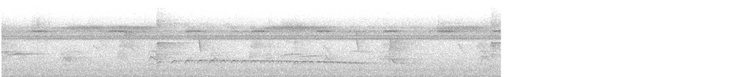 Batarito Coronipunteado - ML627127470