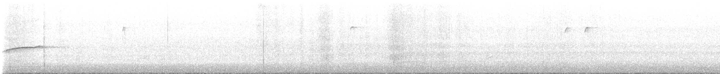 Eastern Wood-Pewee - ML627133773