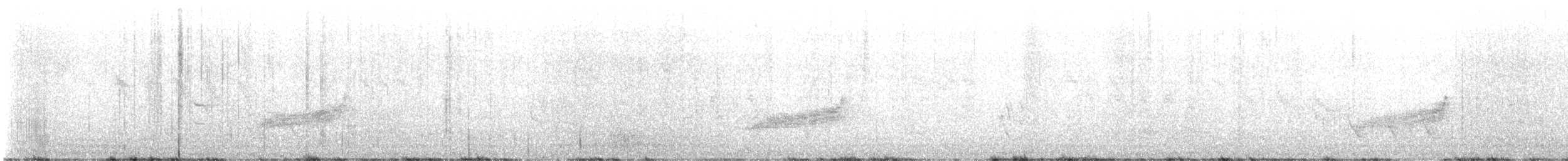 Long-tailed Koel - ML627134064