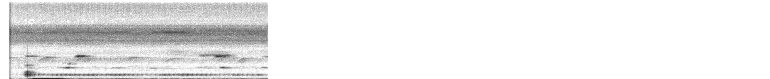 Puerto Rican Owl - ML627136183