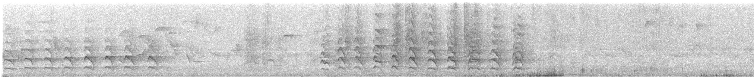 Dominohabicht - ML627137473