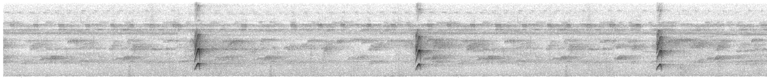 Cinnamon-crested Spadebill - ML627150988