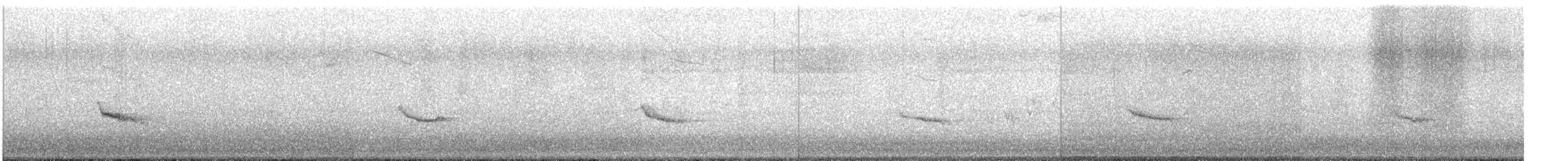 Hermit Thrush - ML627159207