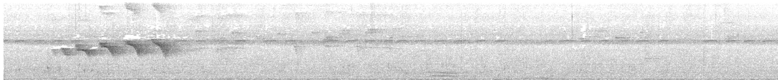 Kara Gerdanlı Karıncakuşu - ML62716731