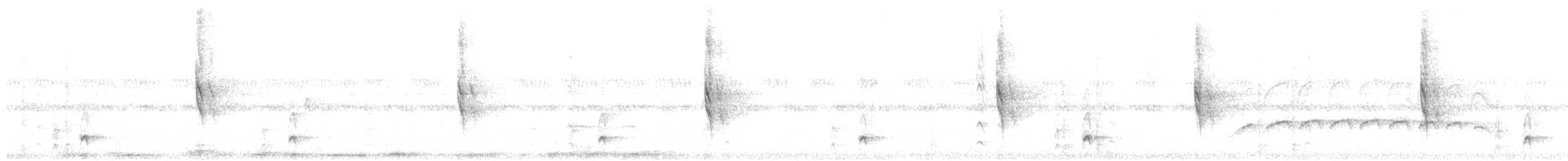 Shear-tailed Gray Tyrant - ML627168428