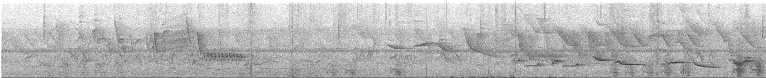 Yungas Guan - ML627169222