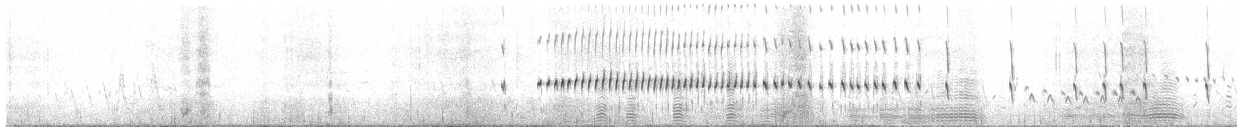 Blackish Cinclodes - ML627176911