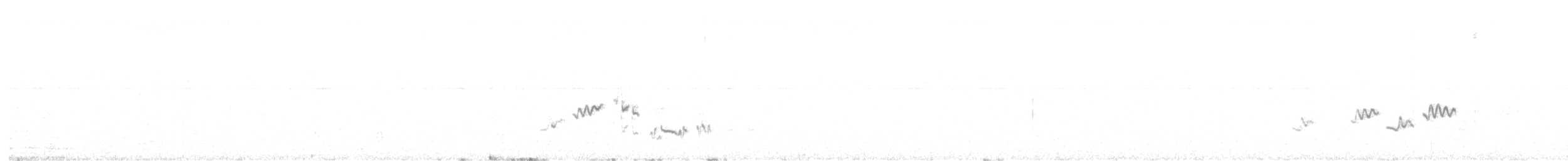 White-crowned Wheatear - ML627177330