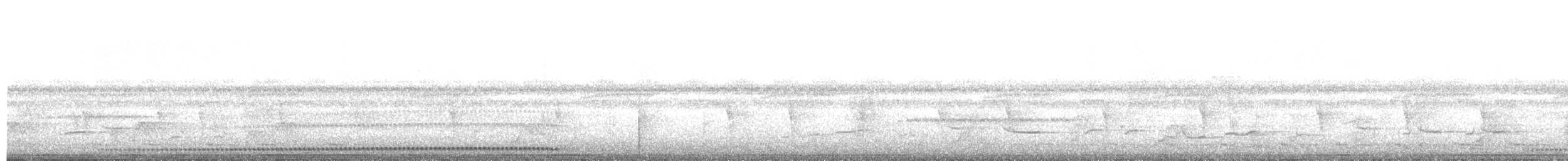 White-breasted Tapaculo - ML627179314