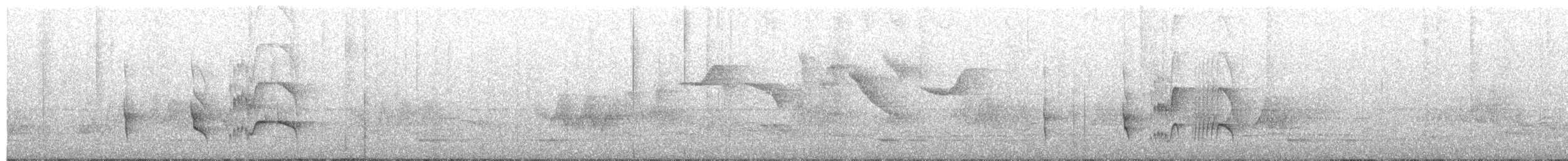 Serra do Mar Tyrant-Manakin - ML627179510